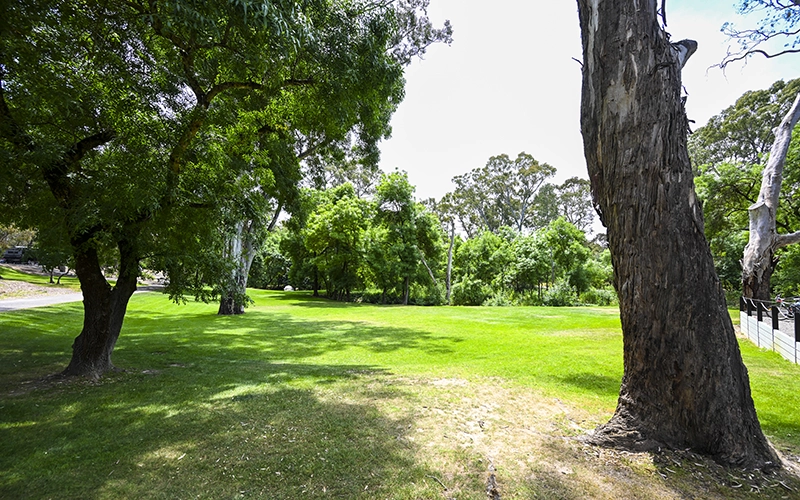 Campground Area at Belair National Park Holiday Park